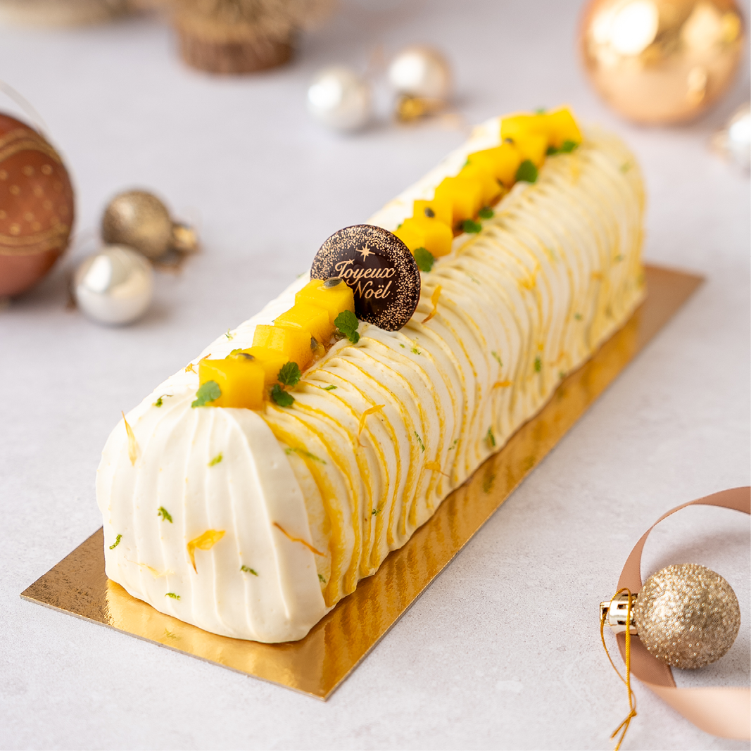 shooting-produit-buche-neol